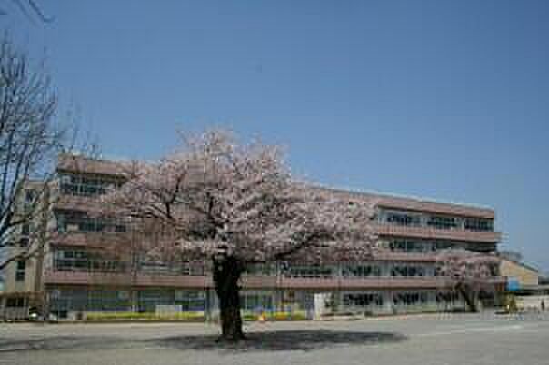 柏市立富勢小学校まで450m