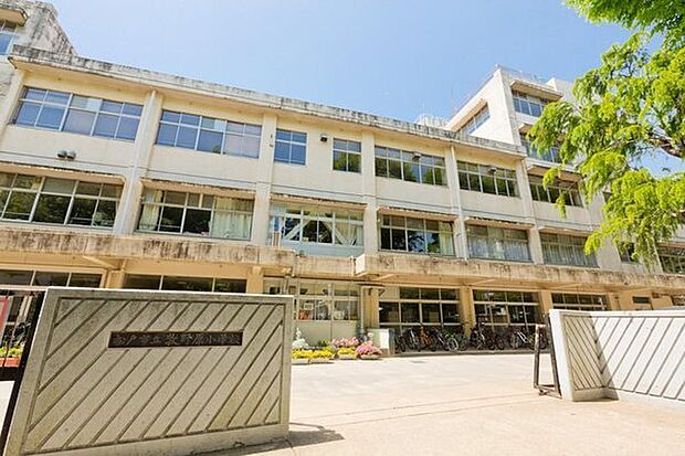 松戸市立牧野原小学校まで100m