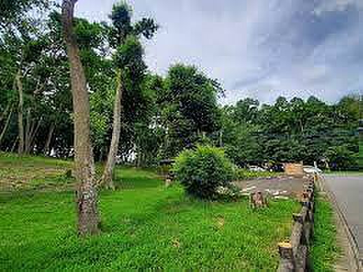 南増尾緑地まで1819m