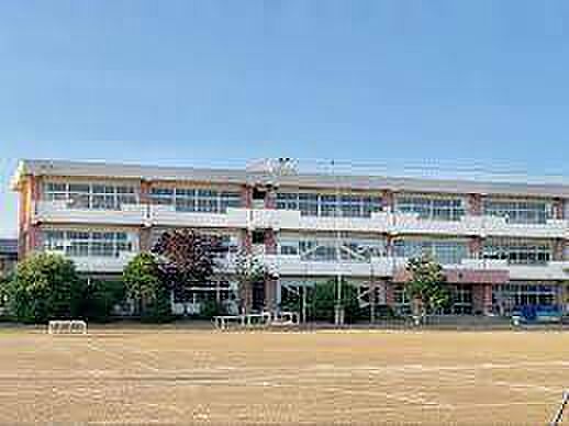 つくば市立今鹿島小学校まで700m