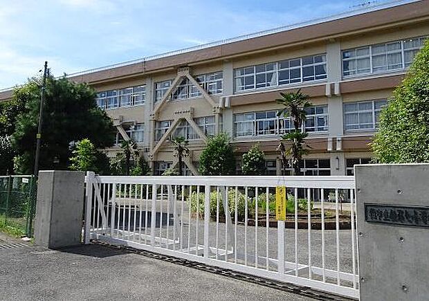 柏市立柏第七小学校まで1000m
