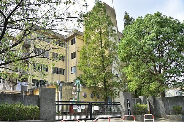 松戸市立河原塚小学校まで600m