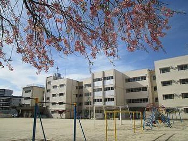 松戸市立中部小学校まで730m