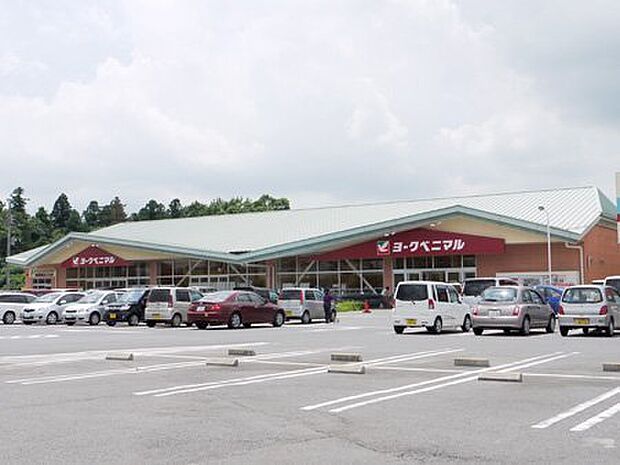 ヨークベニマル豊里店まで1200m