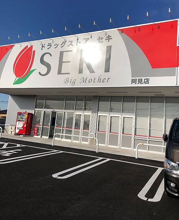 ドラッグストアセキ阿見店まで1611m