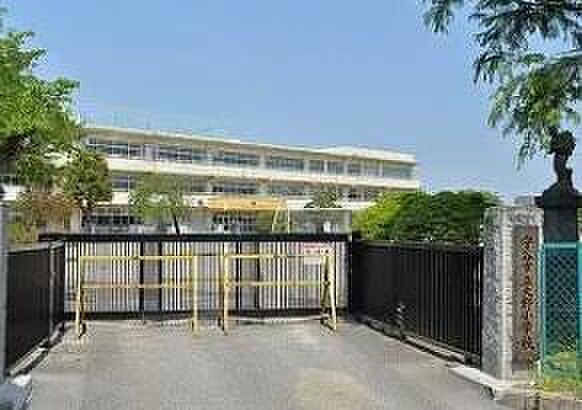 守谷市立大野小学校まで1100m