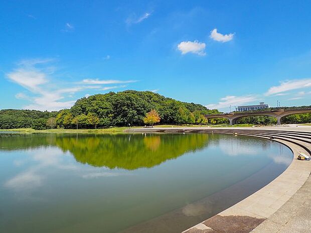 21世紀の森と広場まで806m