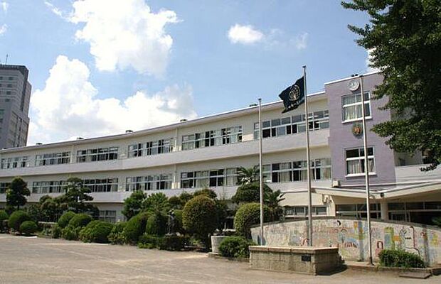 柏市立柏第一小学校まで800m