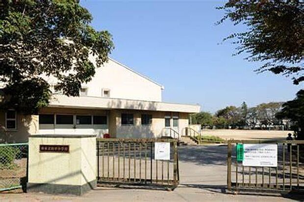 柏市立田中小学校まで230m