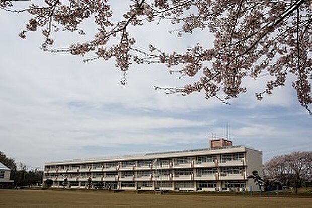 土浦市立都和南小学校まで650m