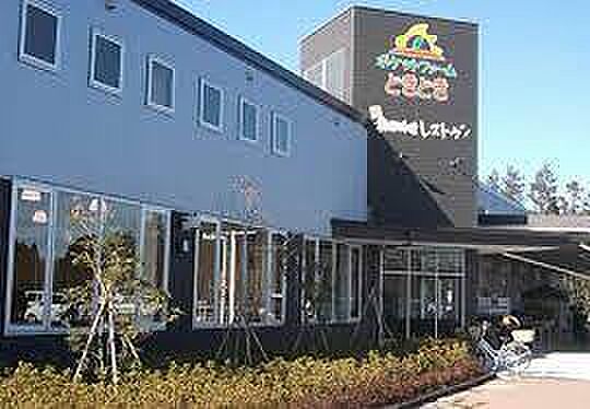 ポケットファームどきどきつくば牛久店まで535m