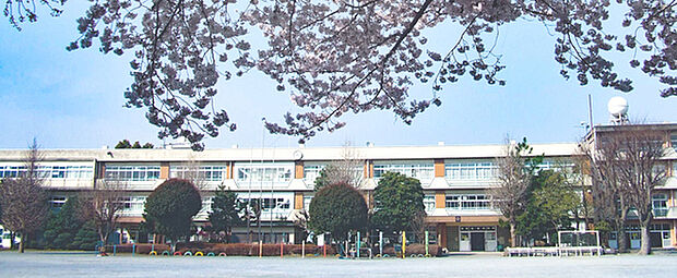 柏市立西原小学校まで800m