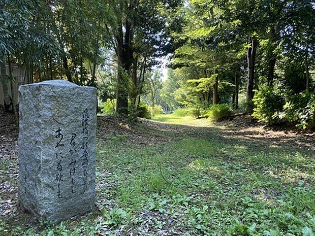 大久保公園まで3799m