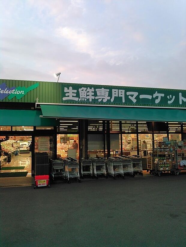 FOODS　MARKET　Selection西原店まで452m
