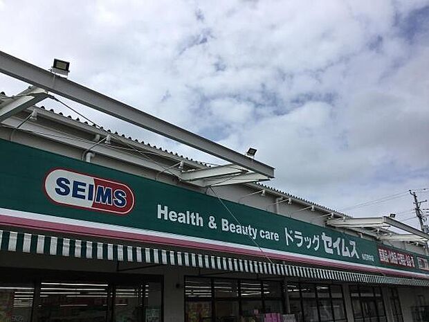 ドラッグセイムス柏花野井店まで1100m