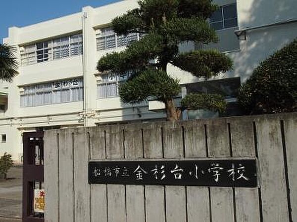 金杉台小学校まで1346m