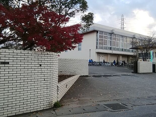 龍ケ崎市立城西中学校まで1100m