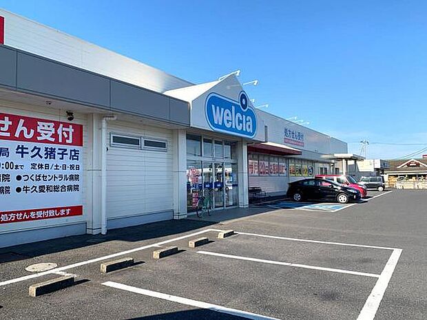 ウエルシア牛久猪子店まで600m