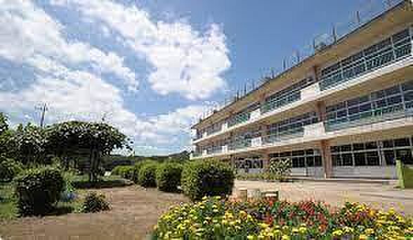 野田市立柳沢小学校まで960m