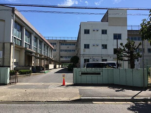 松戸市立新松戸南中学校まで800m