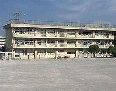 柏市立酒井根東小学校まで290m