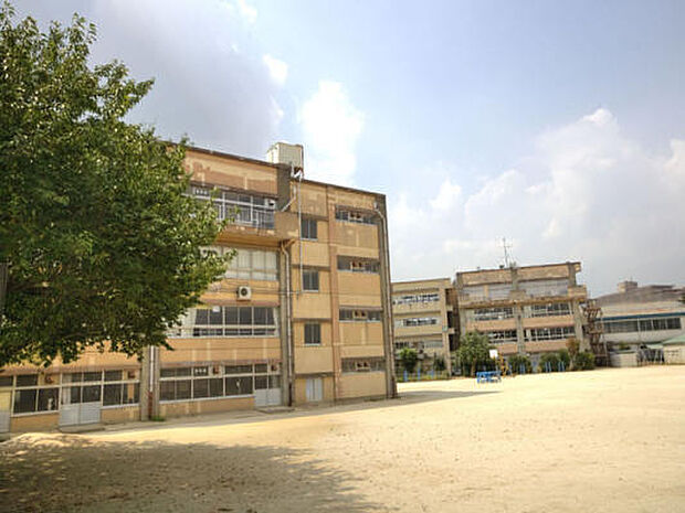 松戸市立柿ノ木台小学校まで650m