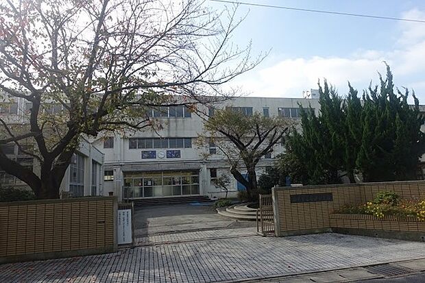 松戸市立南部小学校まで985m