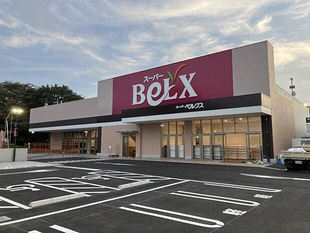 ベルクス柏大室店まで450m