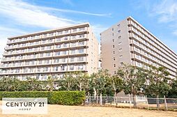 柏ハイライズ