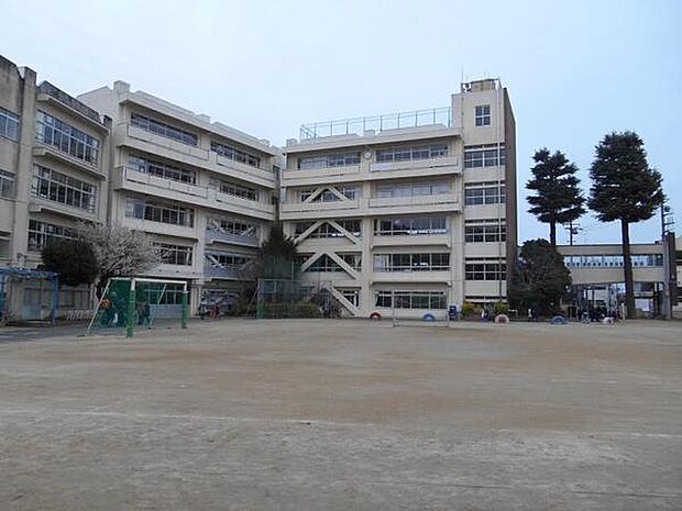 松戸市立小金小学校まで500m