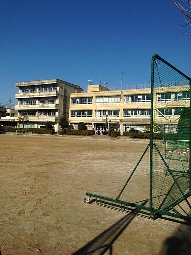 柏市立南部中学校まで800m