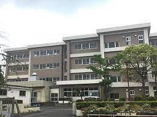 流山市立南流山中学校まで600m