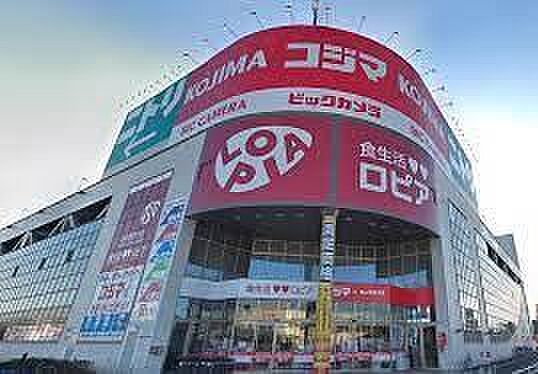 ロピア柏コジマ店まで900m