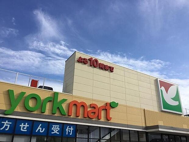 ヨークマート花野井店まで290m