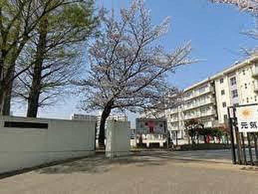 松戸市立横須賀小学校まで1590m