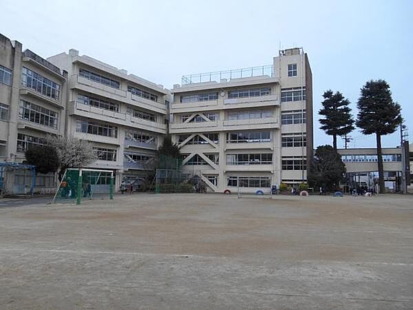 松戸市立小金小学校まで800m