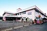 周辺：柏さくら幼稚園まで290m