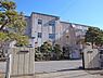 周辺：柏市立松葉中学校まで600m