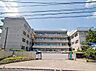 周辺：松戸市立六実中学校まで816m