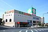 周辺：ライフ増尾店まで750m