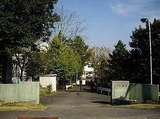 守谷市立高野小学校まで1800m