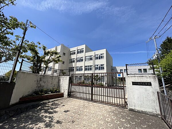 白川小学校まで270m