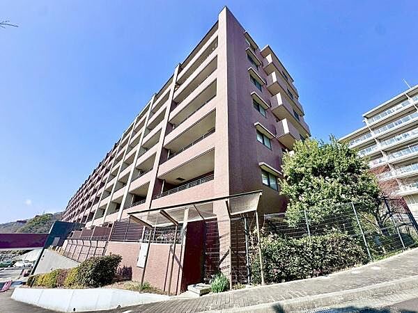 外観：328000594281