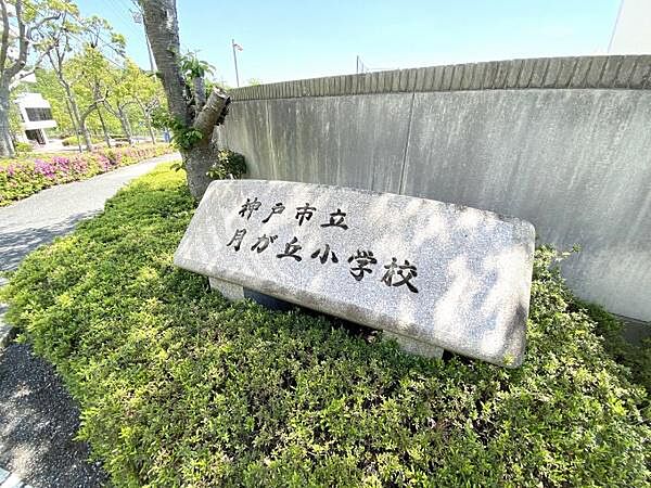 月が丘小学校まで450m