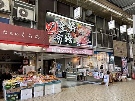 豊中市桜塚ショッピングセンターまで1109m