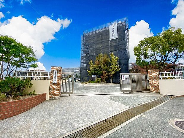 福岡市立舞松原小学校まで556m、福岡市立舞松原小学校