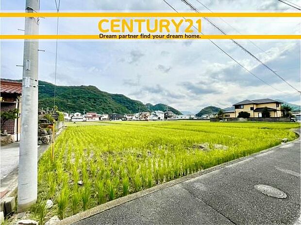 ■■現地写真■■