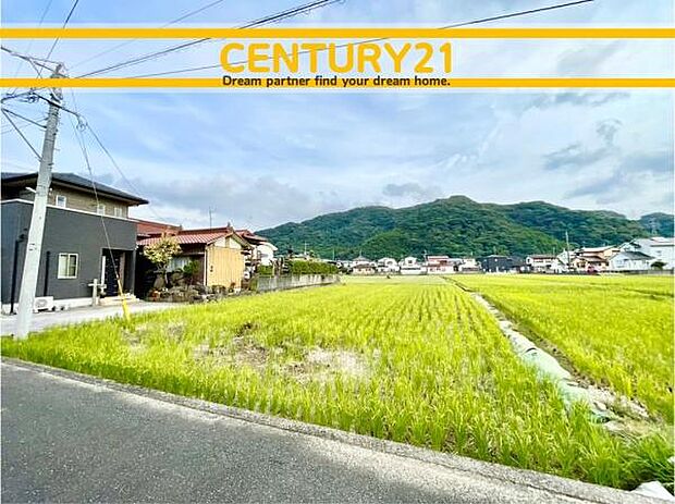 ■■現地写真■■