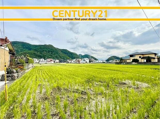 ■■現地写真■■