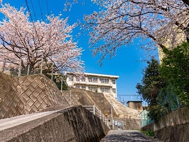 北九州市立南小倉中学校まで1016m
